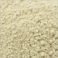 Garlic Powder
