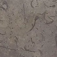 Marble (Millie Brown)