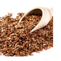 Flax Seeds