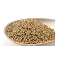 Celery Seed