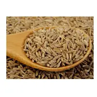 Anise Seed