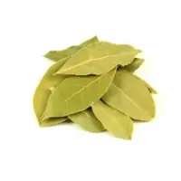 Laurel Leaves Bay Leaf