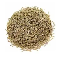 Rosemary