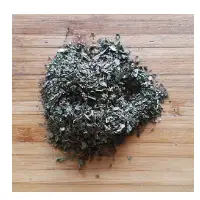 Spearmint