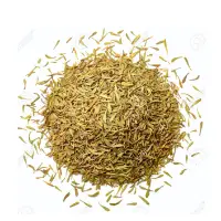 Thyme