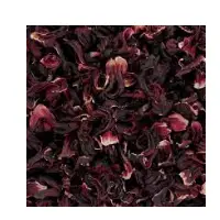 Hibiscus Flower