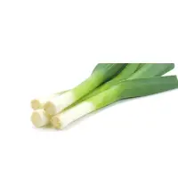Leek