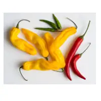 Chili Pepper