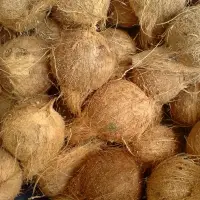 Raw Coconuts