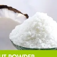 Desiccated Coconut Powder & Flakes