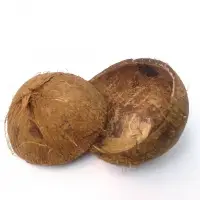 Coconut Shell