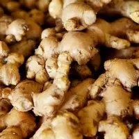 Ginger