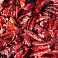 Chilli
