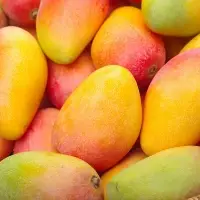 Mangoes