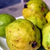 Guava
