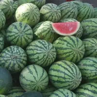 Watermelons