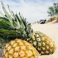 Pineapple