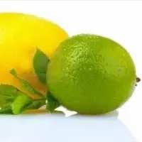Green Lime And Lemon