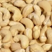 Cashew Nut