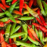 Green Chilli
