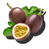 Passion Fruit