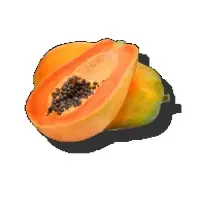 Papaya