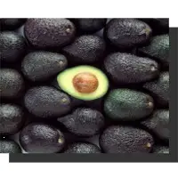 Avocados Fuertes