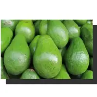 Avocados African Jumbo