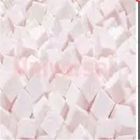 Frozen Colcasia