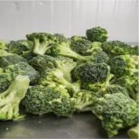 IQFBroccoli Florets
