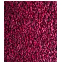 IQF Pomegranate Kernel
