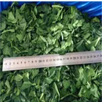 Block Frozen Chopped Spinach