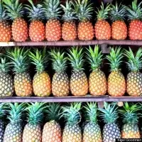 Fresh Pineapple