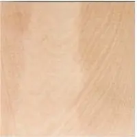 White Birch