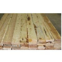 Softwood