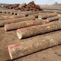 Hardwood Log