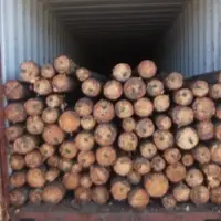 Pine Pulp Log