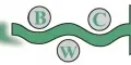 Bois Commercial Wood logo
