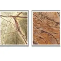 Rainforest Green And Gold Marble