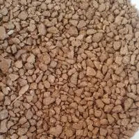 Groundnut Seed Extraction Meal