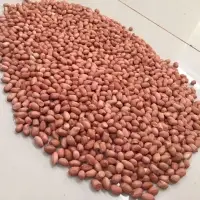 Peanut Or Peanut Kernels