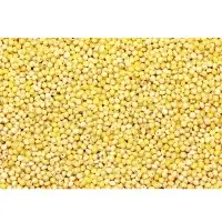 Millets