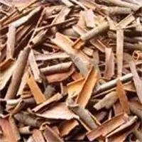Broken Cassia