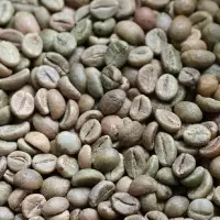 Green Coffee Beans Robusta