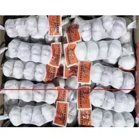 Garlic Bulbs