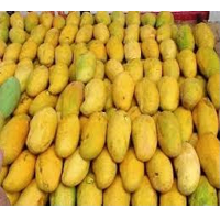 Edward Mangoes