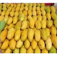 Edward Mangoes