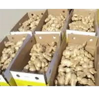 Fresh Ginger