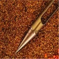 Piper Sudan Grass Seeds