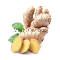 Fresh Ginger
